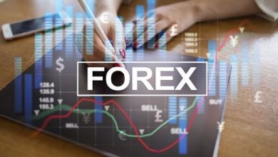 وظائف سيلز فوركس في إسطنبول