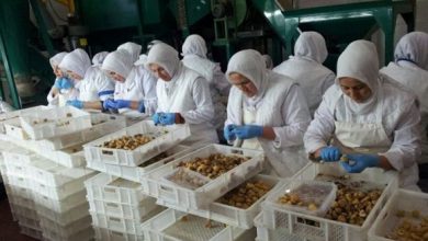 مطلوب بنت للعمل في معمل راحة تركية