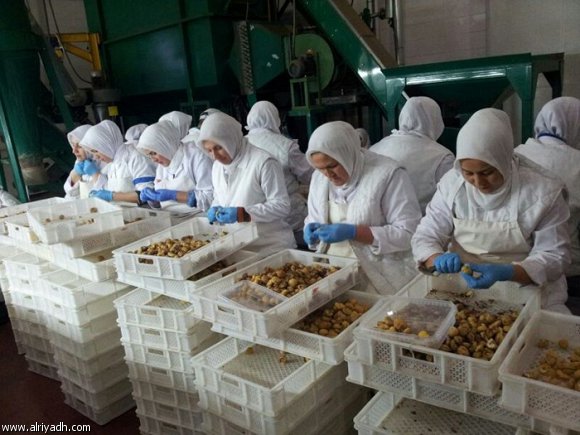 مطلوب بنت للعمل في معمل راحة تركية