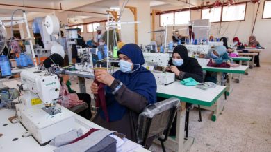 مطلوب أورطجية في زيتون بورنو